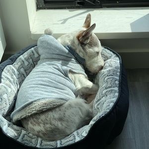 Meet your Posher, Vanessa